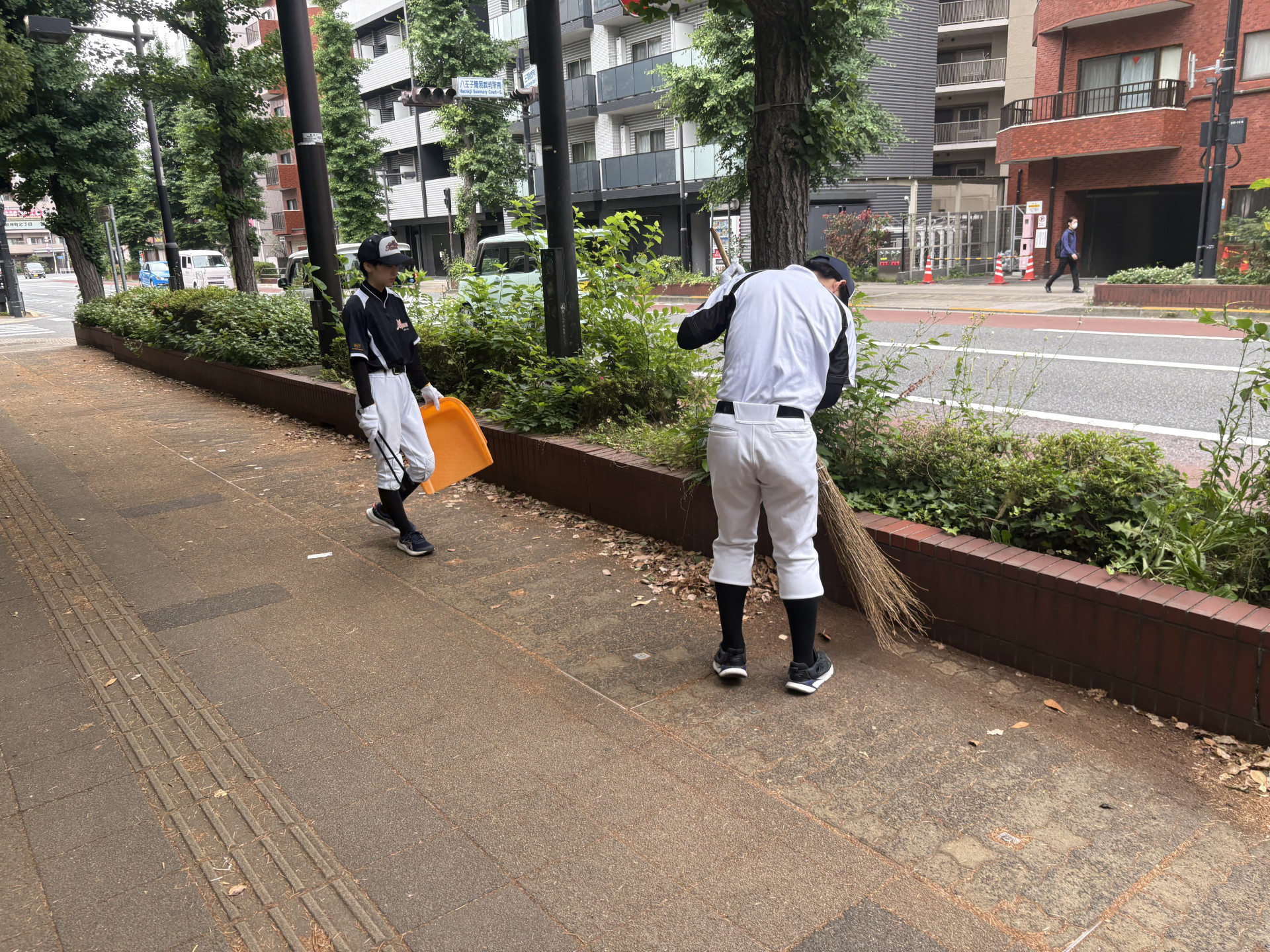 画像 -20260530-231213-c55cba3b